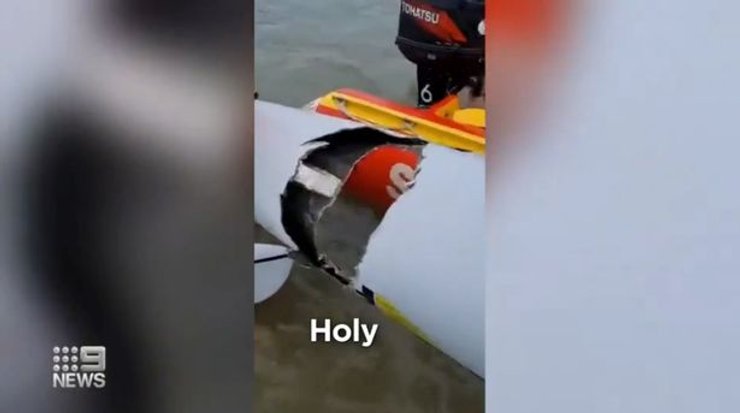 Место столкновения каяка и акулы