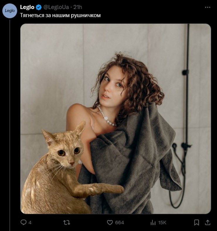 Рыжий кот, мем, фото