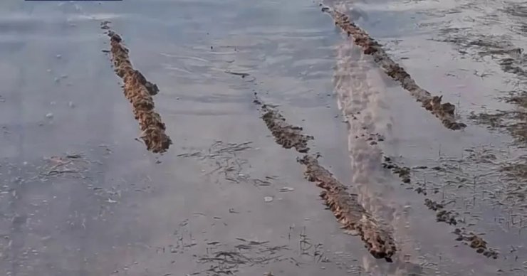 Дерев'яні балки затонулого судна, знайдені на мілинах в Аріпеке