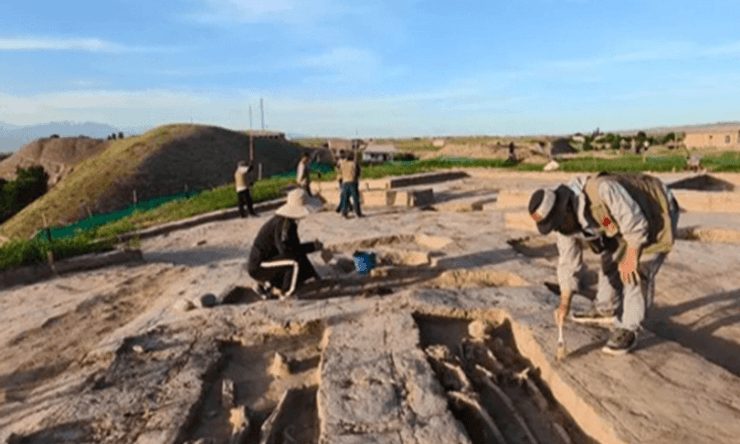 археологи, археология, Узбекистан, поселения, Кушанская империя, культура, шелковый путь, раскопки, люди, жизнь, помещения, руины, открытия