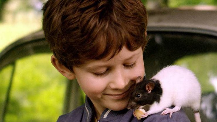 Свейн и крыса, фильм