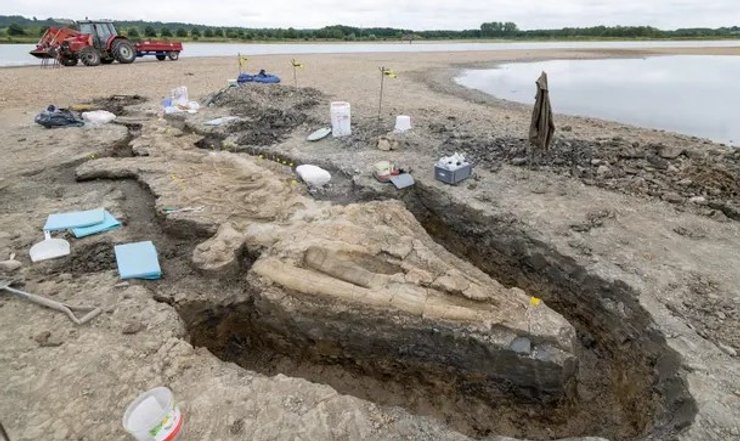 іхтіозавр, скелет, скам'янілість, Англія