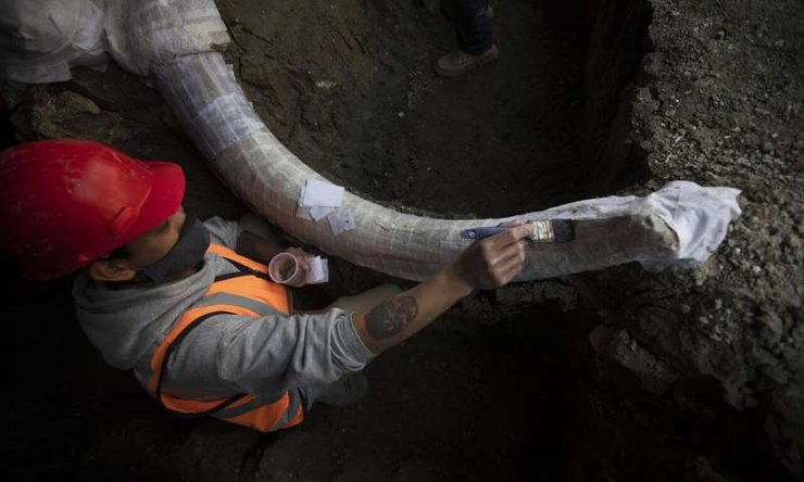 мамонты, Мехико