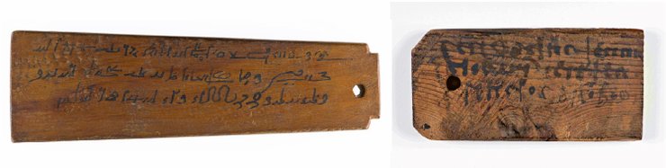 етикетки, мумії, історія клімату, клімат минулого, слонова кістка, Птолемеї, Римська імперія, кліматичні дані, римський Єгипет, ідентифікація померлих, Середземномор’я, Ліван