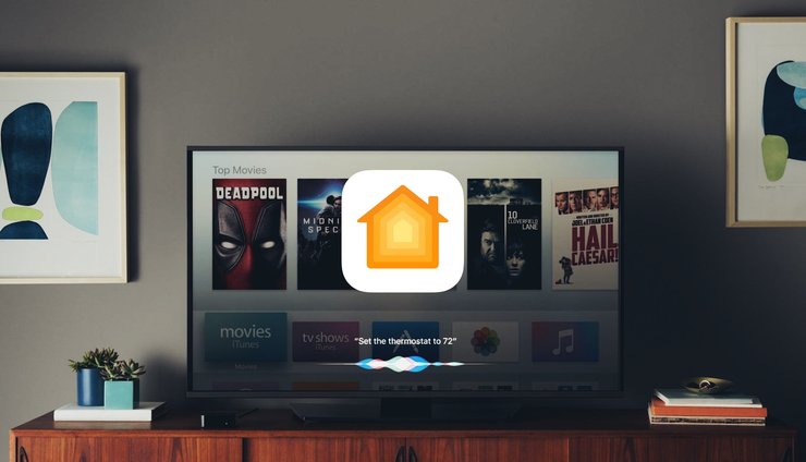 Пара наняла няню для собаки, которая без их ведома оплатила несколько дорогих стриминговых подписок