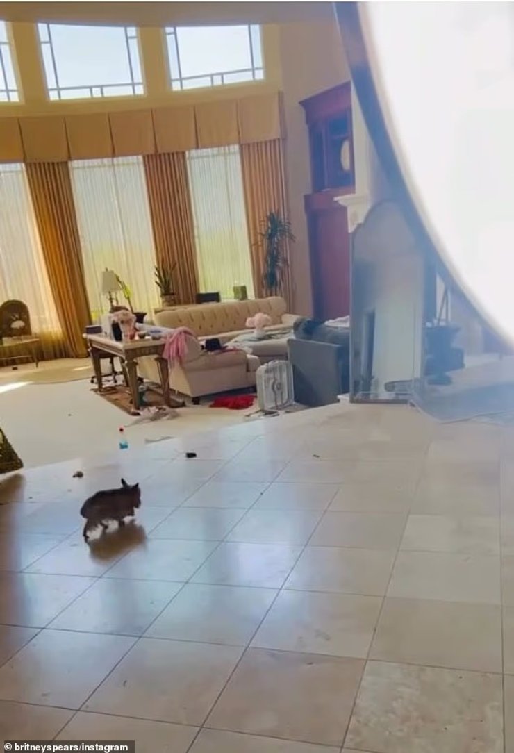 Неубранный дом Бритни Спирс