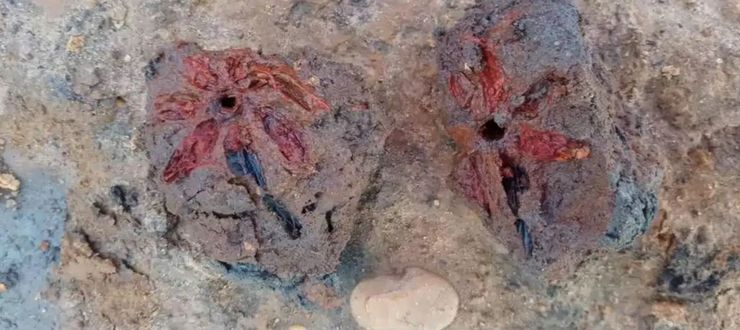 археологія, римська імперія, розкопки, рим, поховання