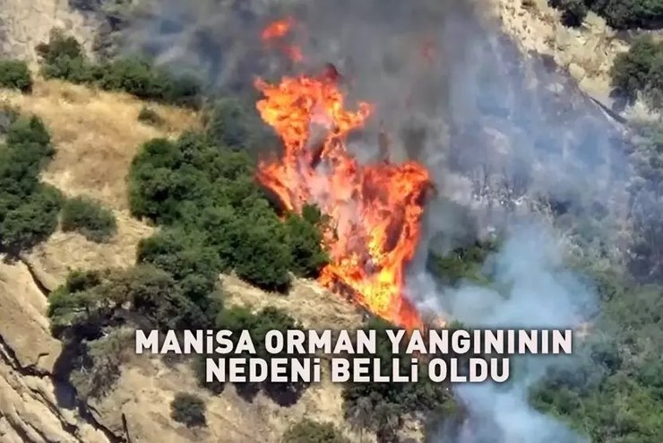 Мужчина сжег лес в Турции из-за клеща в подушке