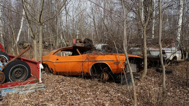 Dodge Challenger Dodge Challenger