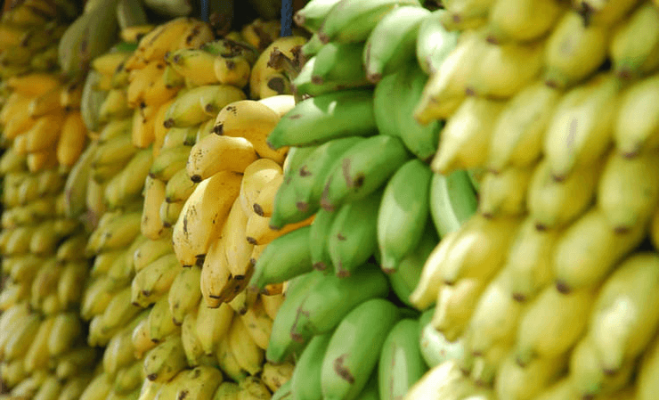 Генетически модифицированные бананы, бананы, фрукт, недоедание, голод, супербанан, витамин А,