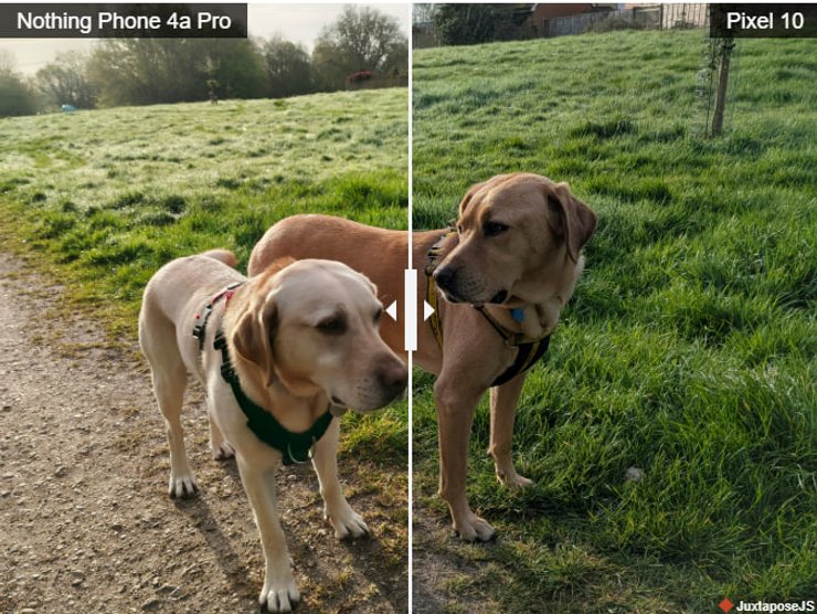 Фото днем на Nothing Phone 4a Pro и Pixel 10
