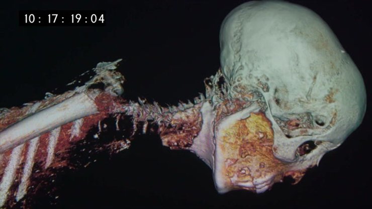 череп, кости, скелет, Тутанхамон, фото