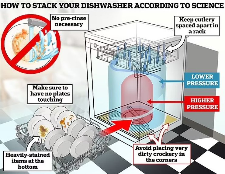 посудомийна машина посуд посуд розкладка