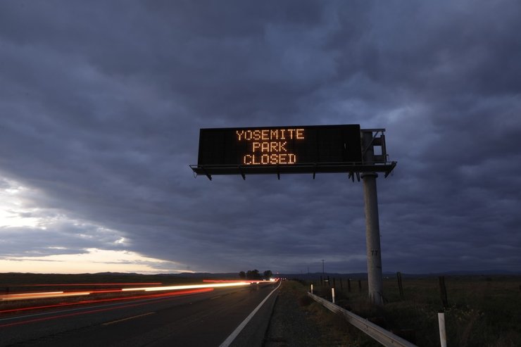 йосемитский парк, черные медведи, национальный парк