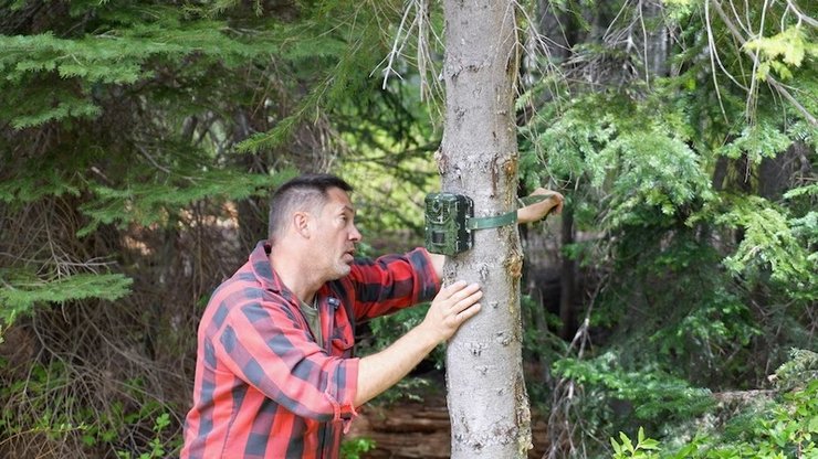 келли столп бигфут