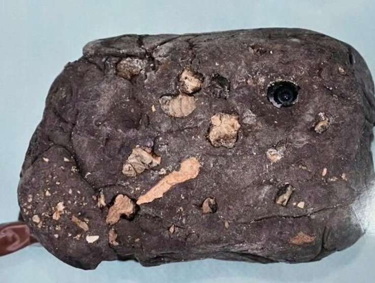 Скрытая камера, фальшивый камень, шпионская камера, следил за людьми, горячие источники, подсматривал за женщинами