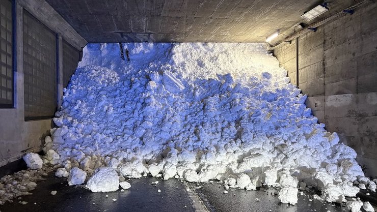 лавина швейцарія потяг