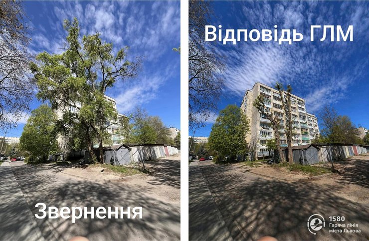 Разница между фотографиями: обращение жителя и отчетом ГЛМ