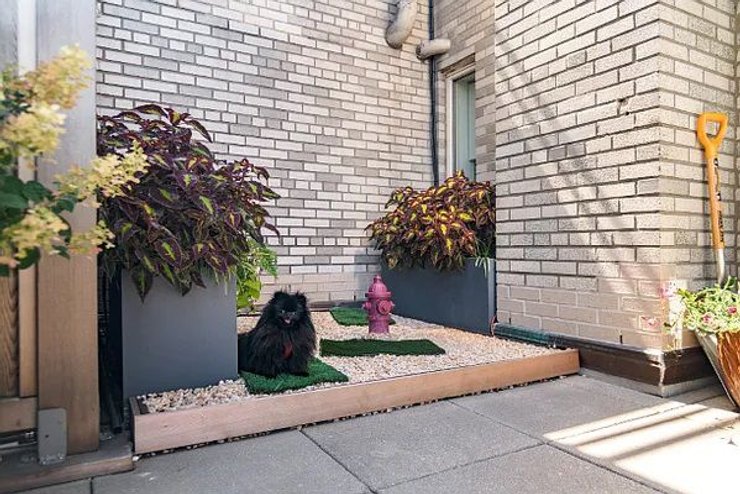 Пентхаус Леди Гаги