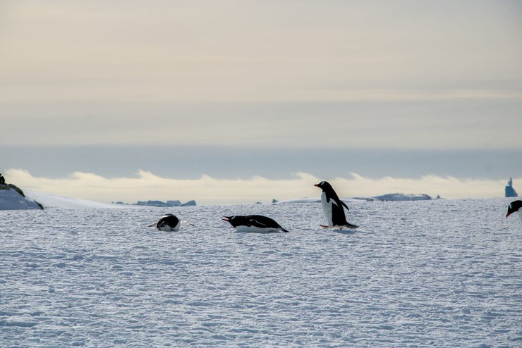 Антарктида, атмосферное явление, Академик Вернадский