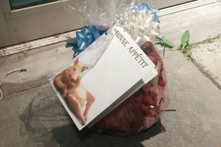 свиная голова париж