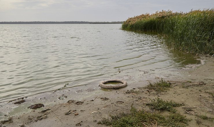 ОПАСНЫЙ ДНЕПР. Скрининг Днепра показал, что в воде есть и тяжелые металлы, и пестициды, и другие опасные вещества