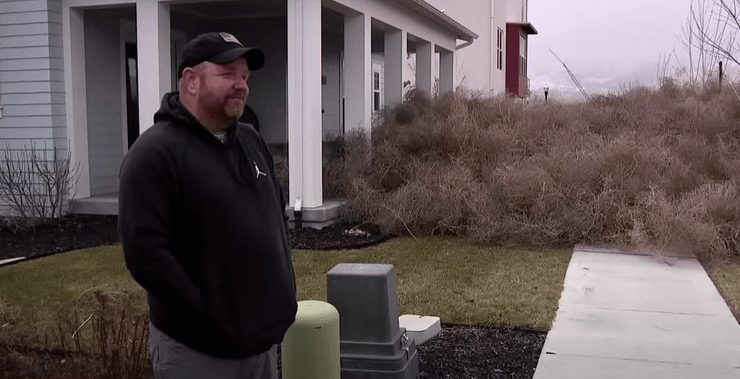 Перекати-поле, сорняк, растение, сильный шторм, захватило город, дороги заблокированы, коммунальные службы, окутал снегопад