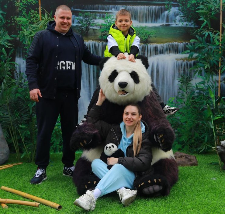 Семейство Ашифиных