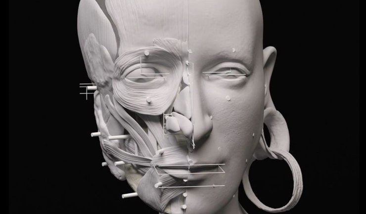 Испания, бронзовый век, реконструкция лица, череп, палеореконструкция, 3D-моделирование, реконструкция лица по черепу