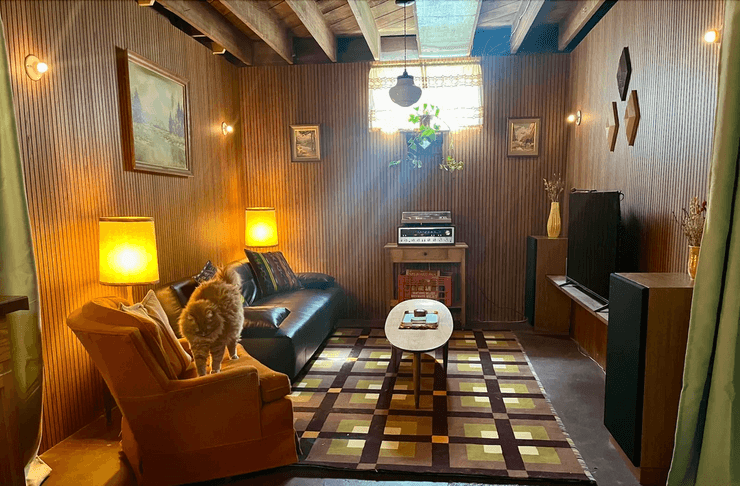 Гостиная в подвале с коврами, кожаным диваном, винтажной аппаратурой и лампами