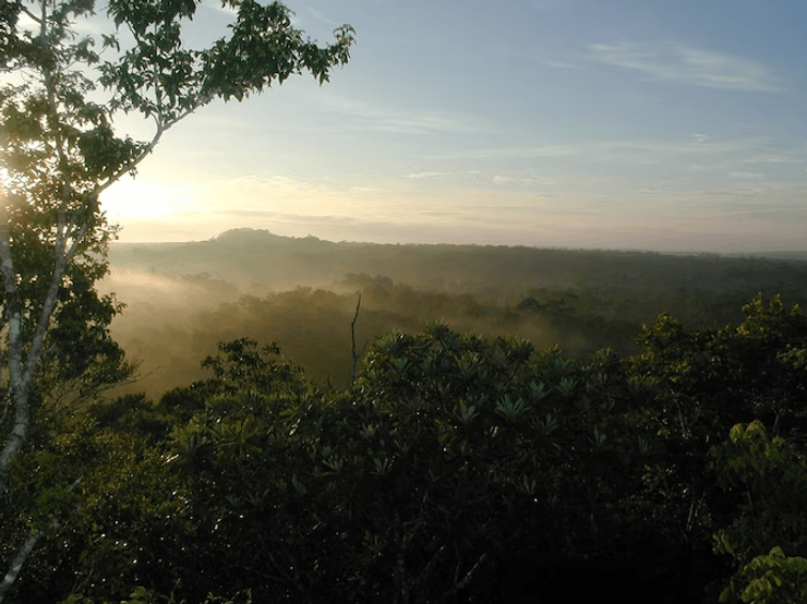 археологія, історія, цивілізація, розкопки, ґрунт, поховання, шар, мая, курган, джунглі, археолог, дослідження