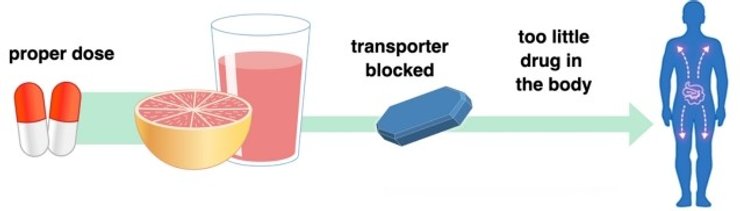 таблетки грейпфрут графіка