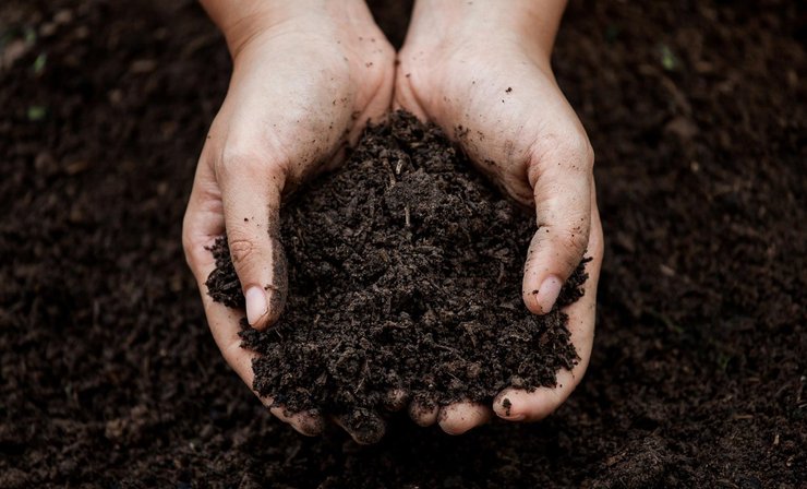 земля Юрист Игорь Тарасенко, реальная сумма к уплате возникает на пересечении трех факторов: НДО, ставок местного совета и условий договора аренды