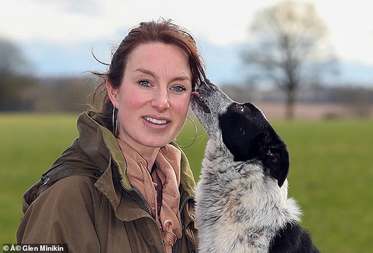 пастушья собака, рекордная цена, собака меган