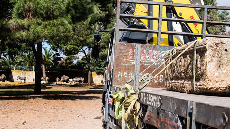 саркофаги, находка, Израиль