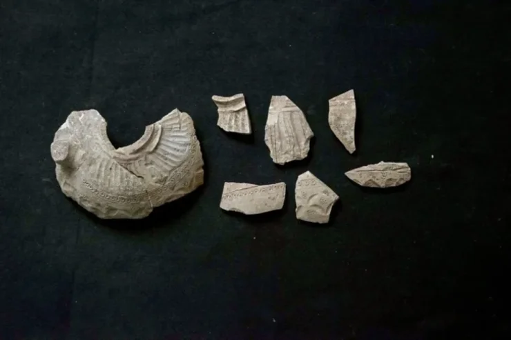 острів, Файлака, Кувейт, розкопки, археологи, археологія, історія, ісламський період, відкриття, Аль-Курайнія, сезон розкопок 2025, поселення, артефакти