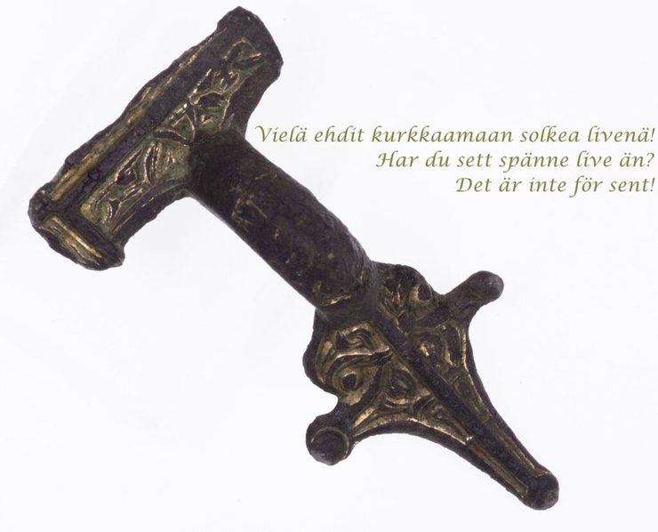 фібула демонструвала багатство та соціальний статус