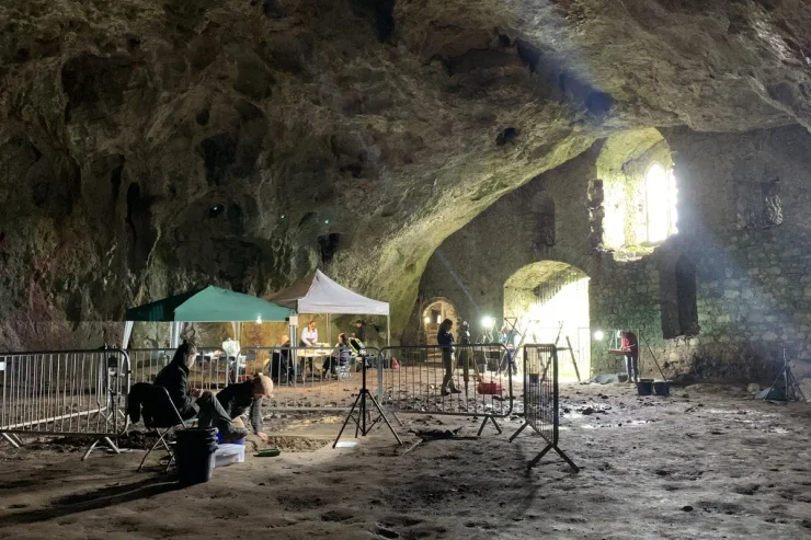 Вчені знайшли останки тварин