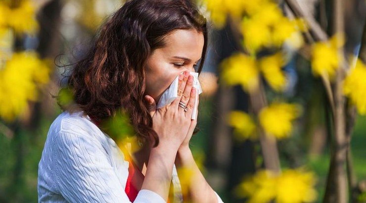От сезонной аллергии страдает до 20% населения нашей планеты