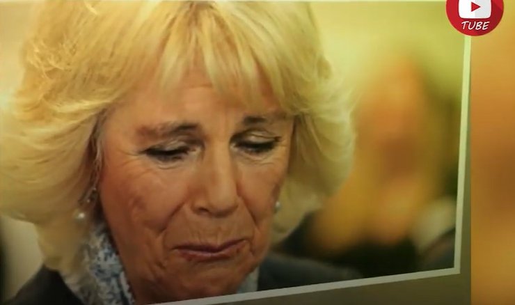 Камілла Паркер --Боулз, герцогиня Корнуолльская