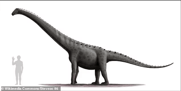 динозаври, яйця, індія