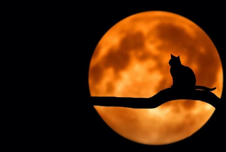 Луна, суперлуние, полнолуние