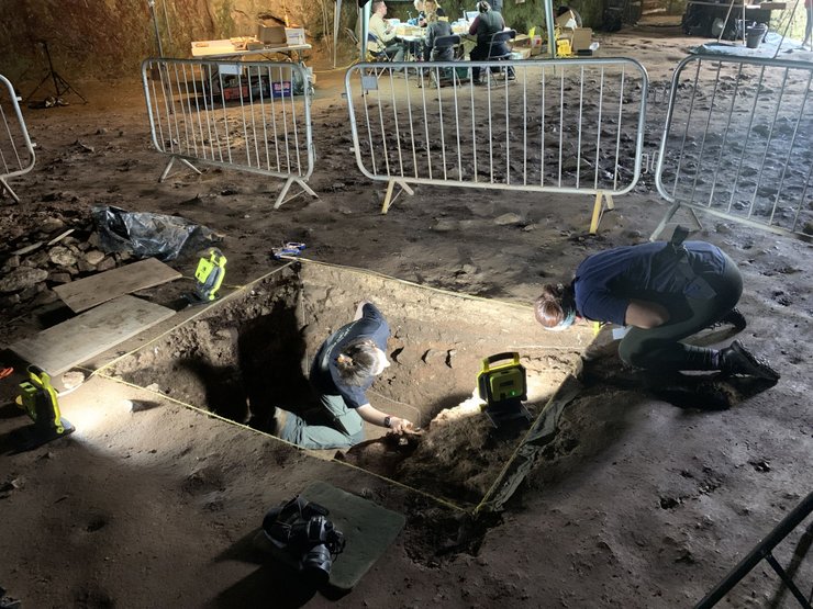 Вчені планують дослідити стародавню ДНК