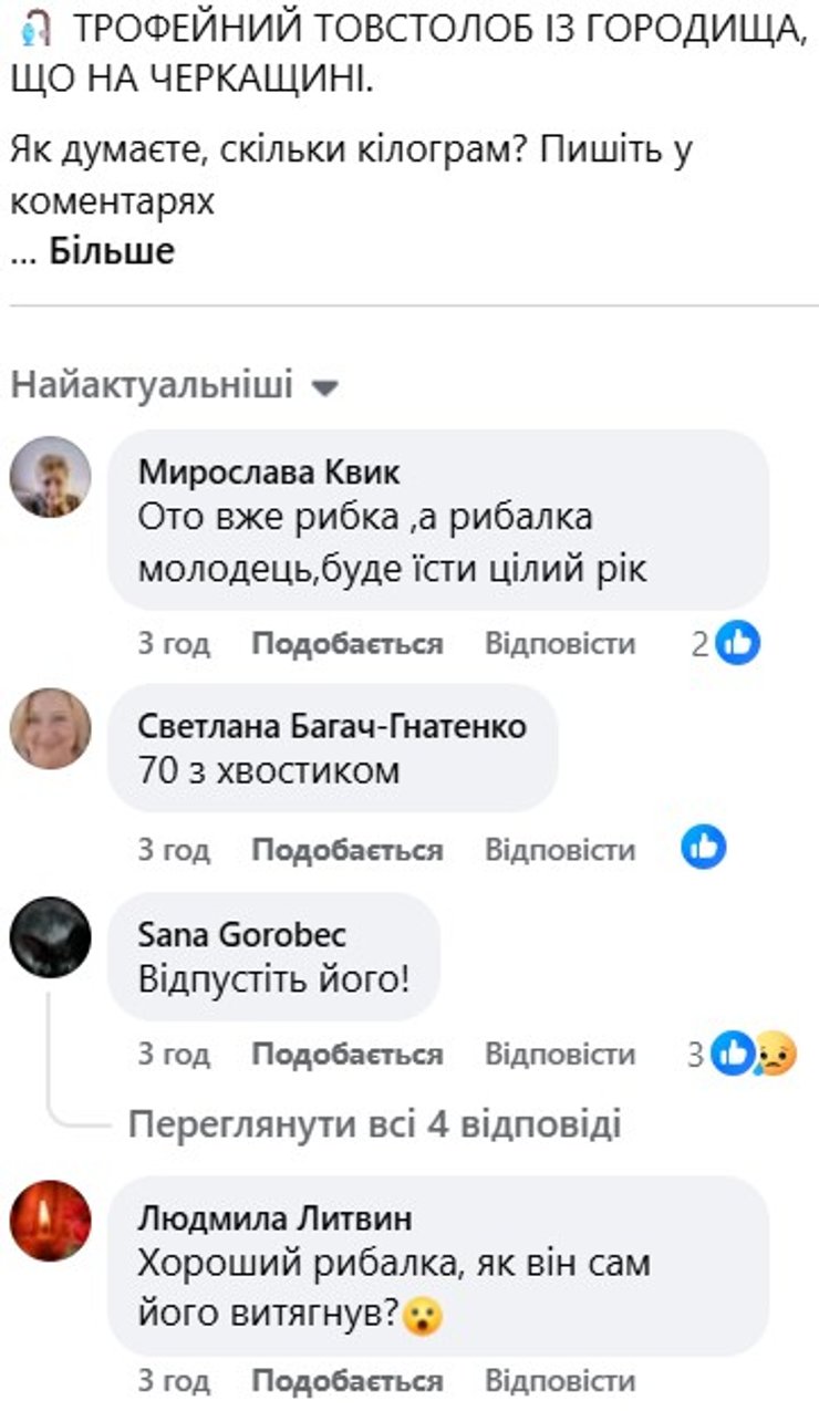 Люди предположили, что толстолоб весил 70 кг