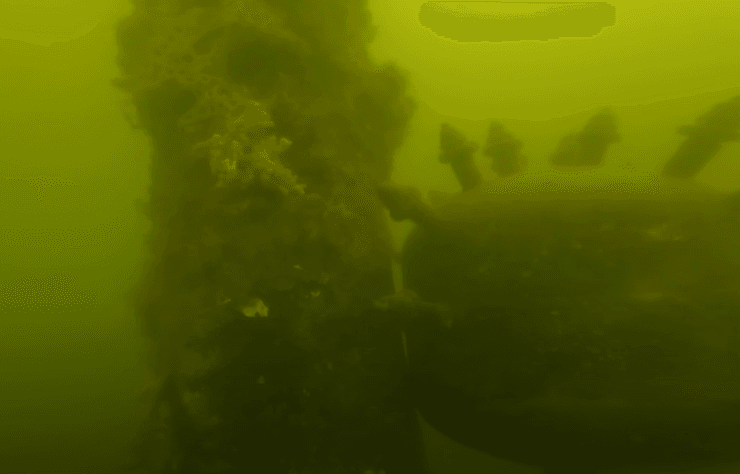 Мужчина бросил GoPro в воду и смог снять на видео нечто похожее на морскую мину