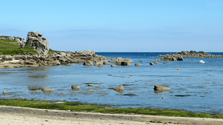 Место, где обнаружена странная медуза