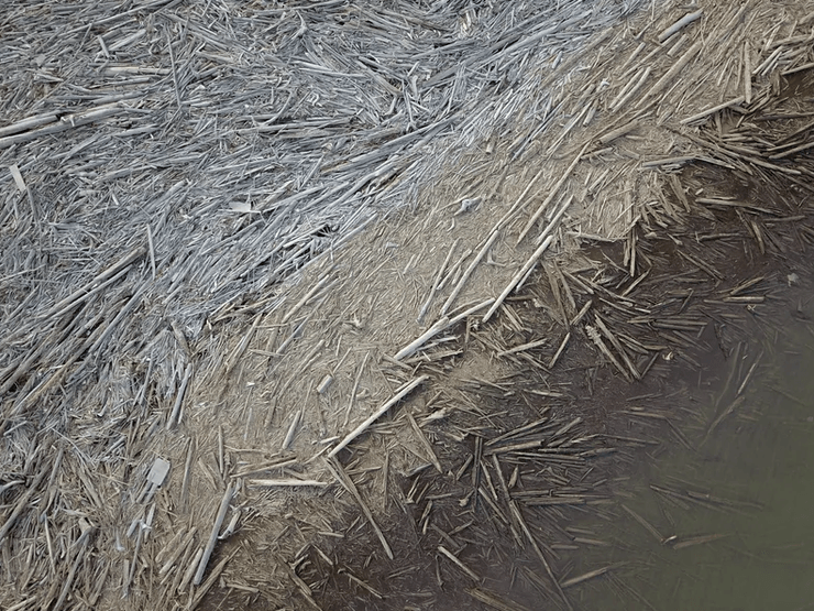 исследование, канада, парниковые газы, углерод, конец света, загрязнение планеты, загрязнение окружающей среды, окружающая среда загрязнения, спасти планету, углерод, выбросы в атмосферу, выбросы спасающего планету углерода, поваленная древесина, дерево,