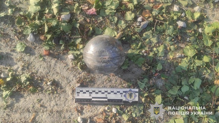 Неразорвавшиеся кассетные боеприпасы обнаруживали во Львовской области