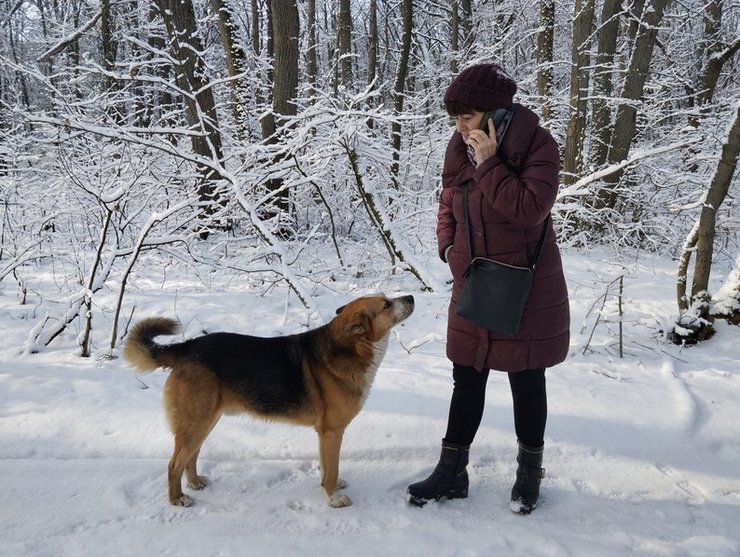 Гибель собаки, пес Дендрик, Полтава