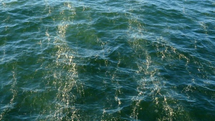 балтийское море пленка